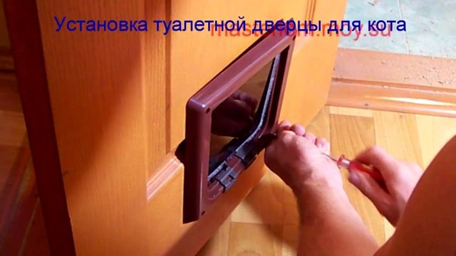Дверь для кота в туалет. cat door. смотреть онлайн