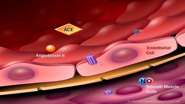 Подробно про щёчки Элой из Horizon Forbidden West ● С ними всё в порядке смотреть онлайн