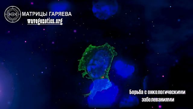 Матрица Гаряева - Борьба с онкологическими заболеваниями. Сокращённая версия. #гаряев-(1080p)