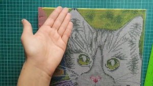 Алмазная мозаика. Обзор, готовая работа черно-белый кот от Белоснежки.