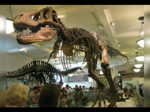 Правила поведения в музее.