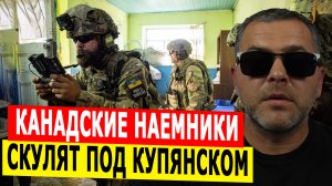 Канадские наемники ВСУ скулят под Купянском