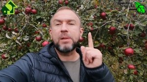 Не ЖГИ! КУДА ПРАВИЛЬНО ИСПОЛЬЗОВАТЬ ОСЕННЮЮ МУЛЬЧУ. Мульчу не выбрасывайте, мульча еще послужит!