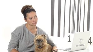 TEST.TV: Русский той-терьер собака загадка.