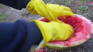 СКИНУЛИ АРБУЗ С 5 ЭТАЖА!