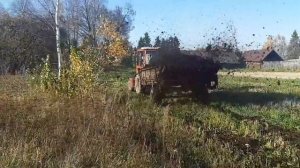 Т 25 и навозоразбрасыватель роу 4 2019
