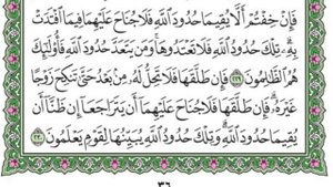 СУРА АЛЬ-БАКАРА 225-233 АЯТЫ