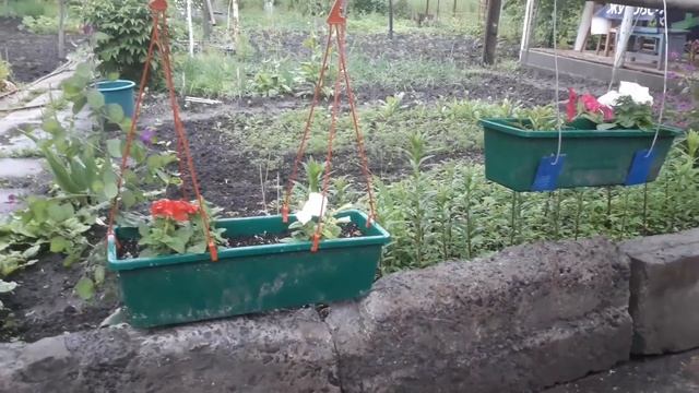 А У НАС ПОПОЛНЕНИЕ !!! // КАКОЙ ПРАЗДНИК СЕГОДНЯ ОТМЕЧАЕМ ?! // VLOG смотреть онлайн