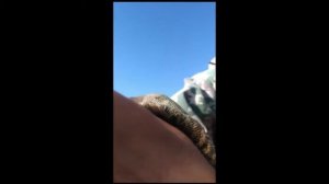 Амур-М - водомет, двс RB20DZET