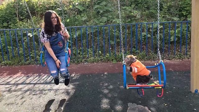 Домашние Макаки- Маша
