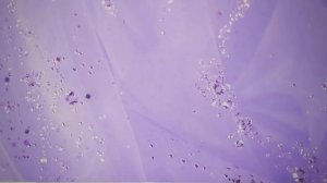 История России 9класс Национальная и религиозная политика Николая Этнокультурный облик страны