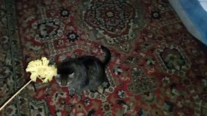 Мой Первый Видео От RuTube