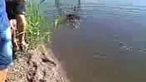 Рыбалка Старобешевское вдхр.