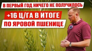 Как получить прибавку урожайности | Листовые подкормки и внесение КАС ликвилайзером | Опыты фермера