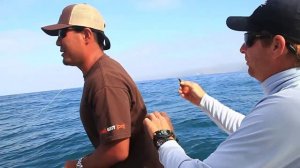 How To Fly Fish for Calico Bass using Heavy Fly Lines | Part 3 - What Not To Do