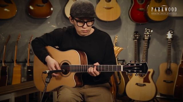 파크우드 S66 / PARKWOOD S66 / 원미사운드