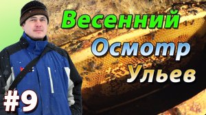 Весенние работы на пасеке. Осмотр улья после зимовки и очистка от подмора. 2017