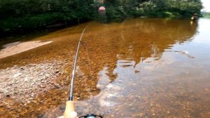 Отличная рыбалка... Ловля хариуса на спиннинг и нимфу...