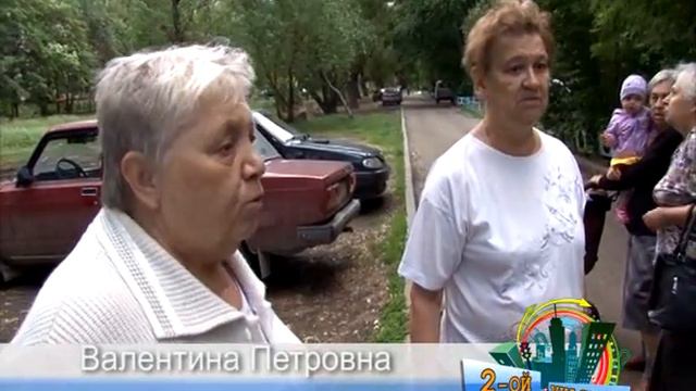 Сухие деревья на Кирова 15А