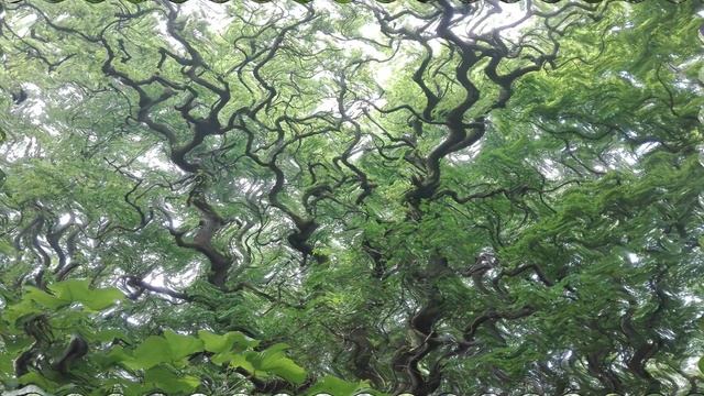 20 Minutes of Soothing Powernap Meditation Music смотреть онлайн