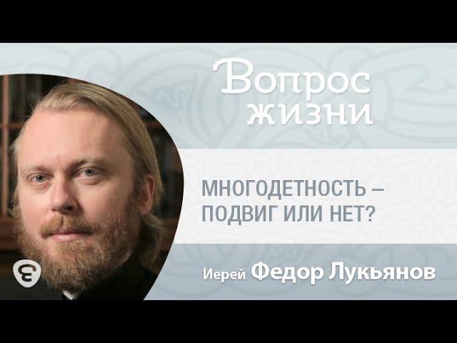 Многодетность – это подвиг или нет. «Вопрос жизни» с иер. Феодором Лукьяновым