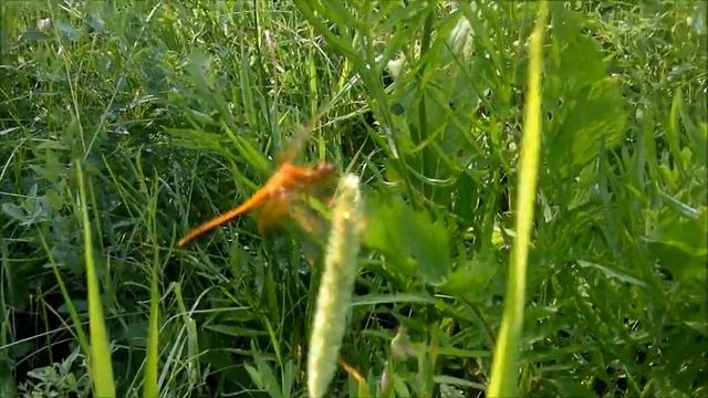 Артын 2013 смотреть онлайн