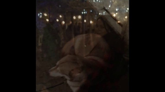 Путешествие в Лапландию