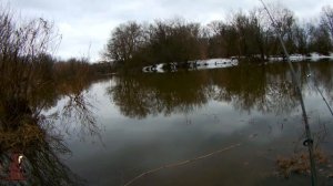 Открытие рыбалки на налима с берега. Весенняя рыбалка на налима с донками в апреле