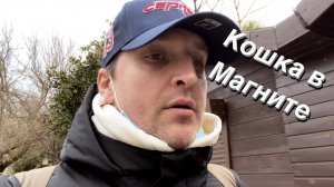 VLOG Вижу баранов / Первый раз увидел подснежники / Загадываю желания