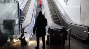 Ура. Эскалаторная галерея на Воробьевых горах. Работает, спустя почти 40 лет.