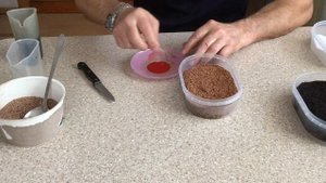 Способ посадки рассады на вермикулит и на грунт