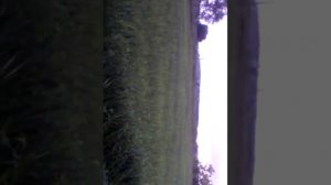 Косим траву мотоблоком Агро