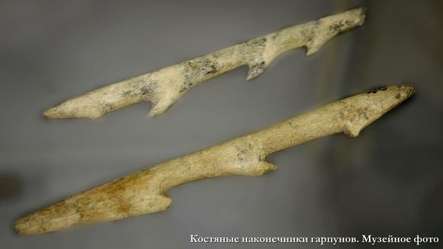 История древнего мира. #3. Родовая община