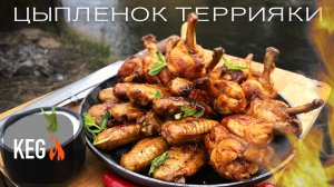 ? Крылышки Террияки / Лоллипоп & Тай-Пэн / с йогуртовым соусом на меду