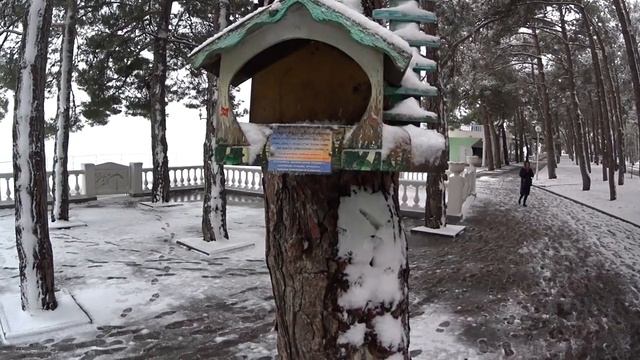 В Геленджик пришла зима, как на севере | Обзор набережной Геленджика | Геленджик 2022.