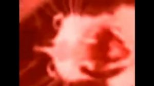 кот орет мем оригинал