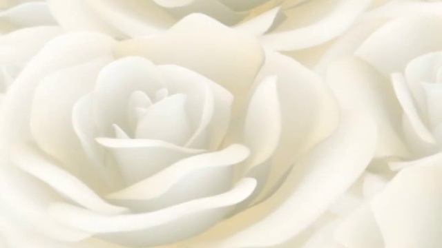 Фон Белые розы смотреть онлайн