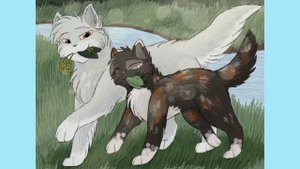 Кто такие "Коты Воители"?