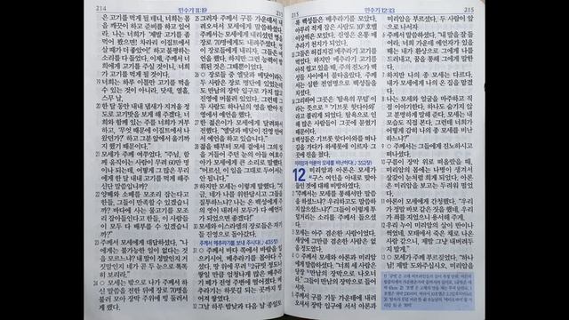 민수기 11~13장 | 쉬운말 성경 | 47일 смотреть онлайн