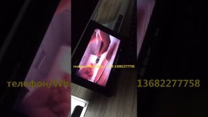 Как победить в Секу