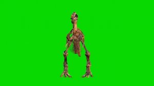 T-Rex Skeleton Rotating Green Screen Loop