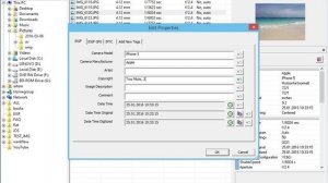 Open files, edit EXIF and IPTC data, save changes with help of Exif Pilot editor