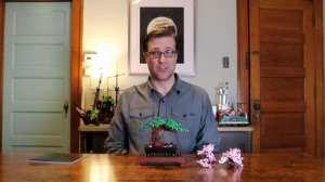 10281 Lego Bonsai Tree Quick Review