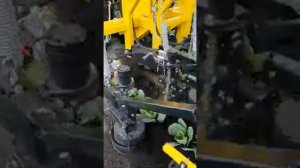 Культиватор-полольник междурядий КПМ-3 (трёх рядный, версия 2020) Тюмень.