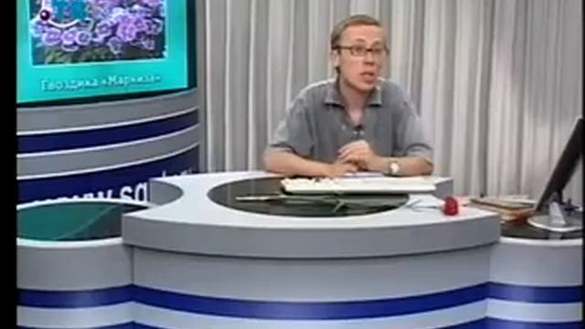 Цветы. Урок 3.5. Самые красивые однолетники. Часть 2 смотреть онлайн