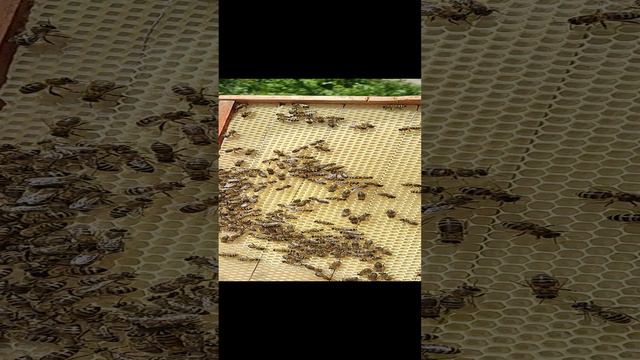 1000144391.mp4