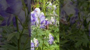 02-09-2024 Выходные дни в деревне Пермяки ,Шалинский район,Свердловская область . Благодатные места.