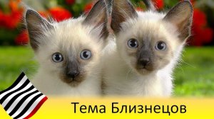 Астротеория. Мистерия Близнецов