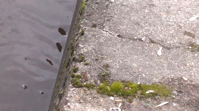 Что то не понятное. смотреть онлайн