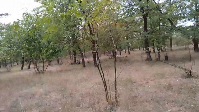 ПУТЕШЕСТВИЕ по разрытым КУРГАНАМ !!!! смотреть онлайн